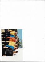 Guitarrista con experiencia desde los años 60