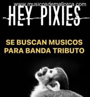 THE PIXIES - Banda Tributo