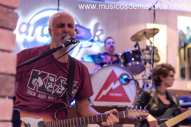 The Reeds busca cantante