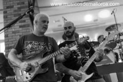 The Reeds busca cantante