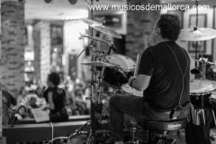 The Reeds busca cantante