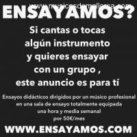 ENSAYOS DIDÁCTICOS (Combos)