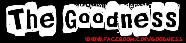 Buscamos guitarrista para grupo de Punk-Rock