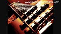 Bajista para banda con influencias de Wintersun, Amon Amarth, Opeth, etc...