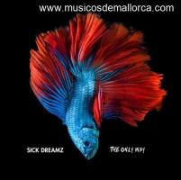 Se busca guitarrista rítmico