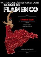 CLASES DE BAILE FLAMENCO