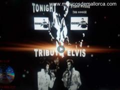 Elvis Tribute